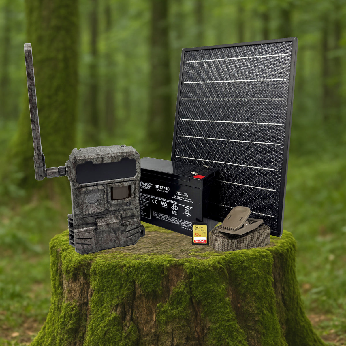 Combo ACCESS - Bait kit