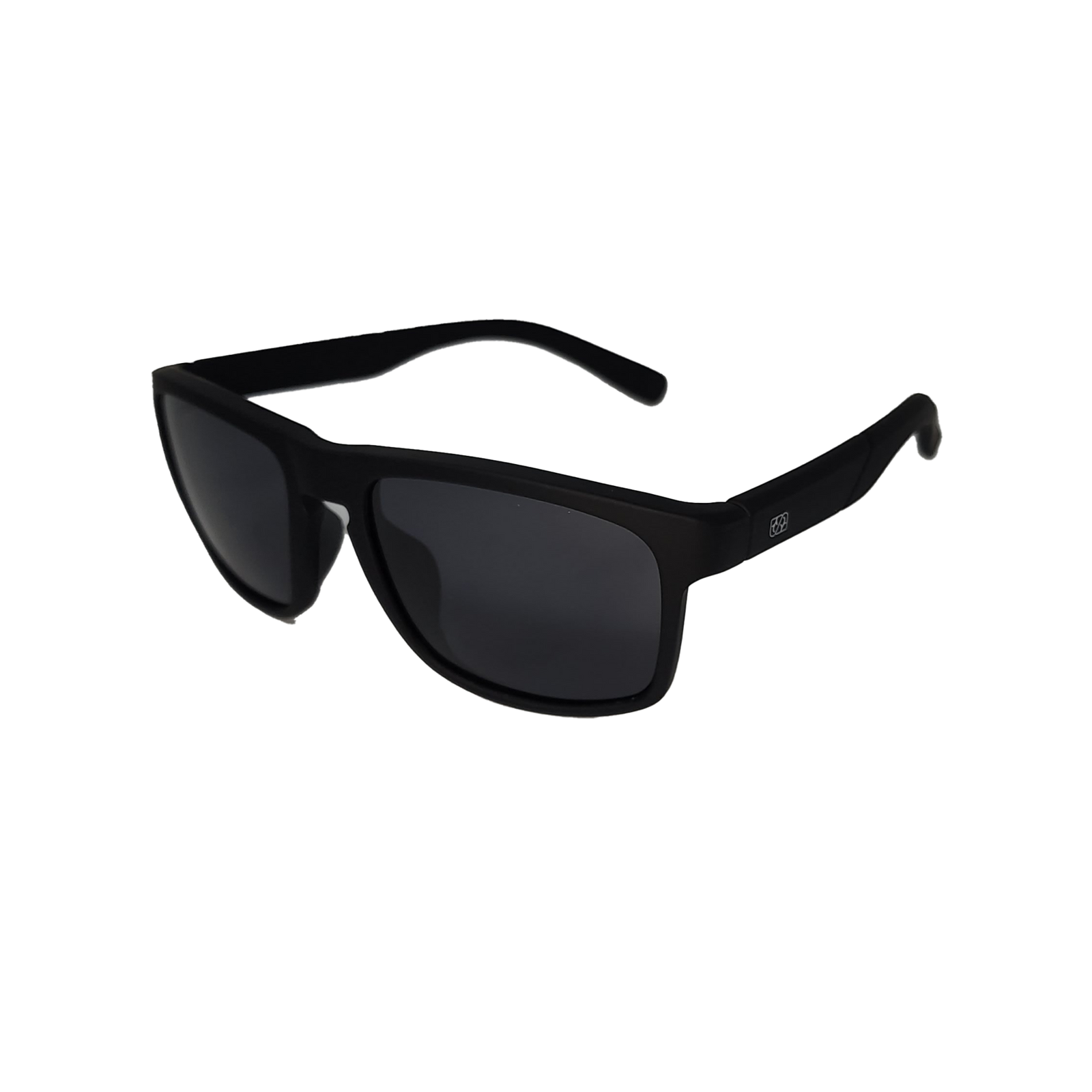 Lunettes de soleil polarisées